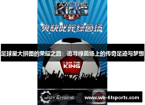 足球星大拼图的荣耀之路：追寻绿茵场上的传奇足迹与梦想